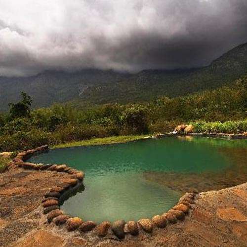 Jungle Mist Resorts & Holidays Pvt. Ltd. About Us Picture-1