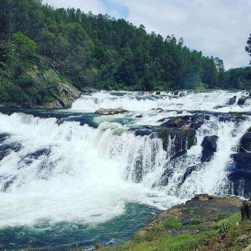 Jungle Mist Resorts & Holidays Pvt. Ltd. About Us Picture-4