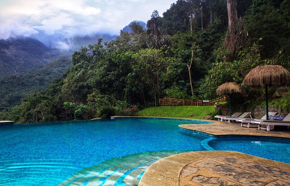 Luxury Redefined: How Hotels Are Crafting Exclusive Experiences for Modern Travelers Picture at Jungle Mist Resorts & Holidays Pvt. Ltd.